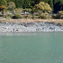 日曜の天竜川ルアーフライテンカラ専用区